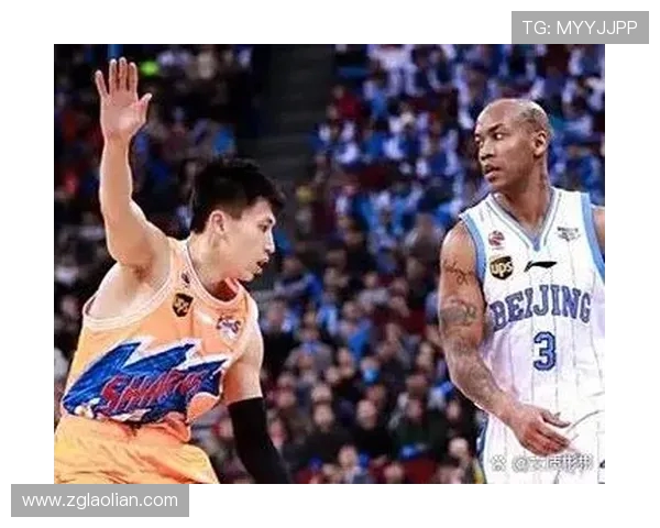 哪个省份拥有最多CBA球队?区域篮球资源对比 哪个省份拥有最多CBA球队?区域篮球资源对比