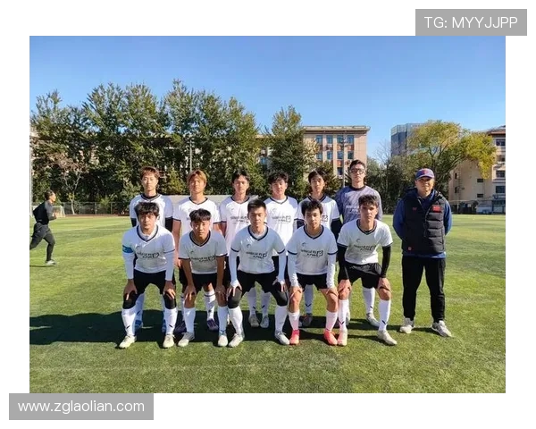 足球比赛中的团队协作与默契培养